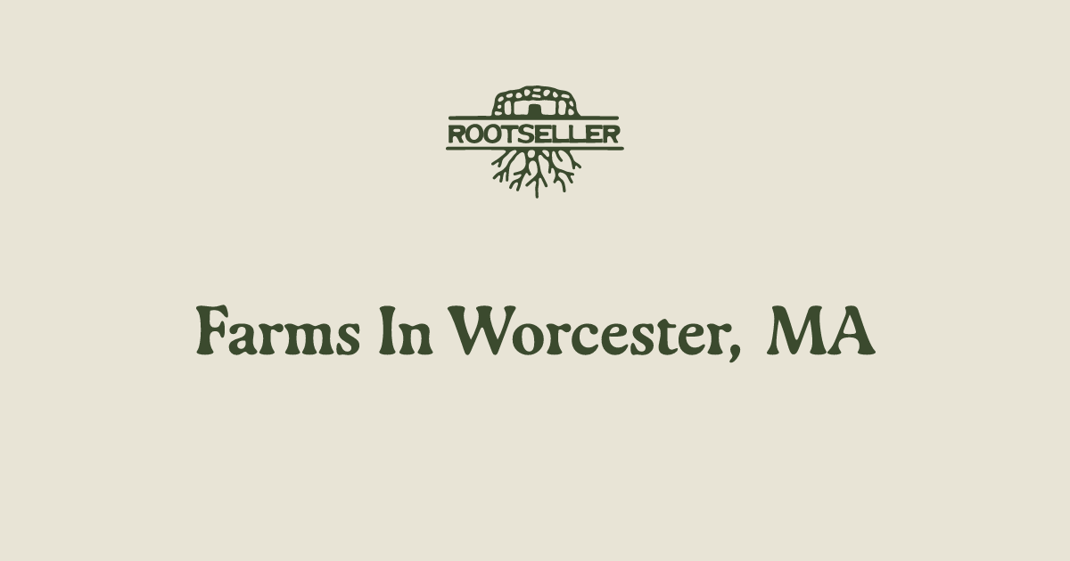 RootSeller